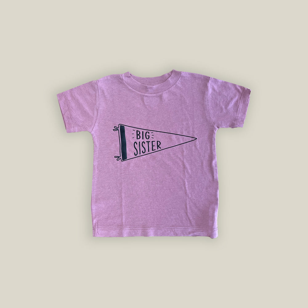 SAMPLE 3 Years, 2 Years 12-18 Months and 18-24 Months 'Big Sister' T-shirt
